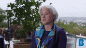 berggrueninst democracy future of democracy GIF