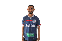 Saocarlos Sticker by Grêmio Desportivo São-Carlense