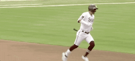 Notre Dame Baseball GIF by NCAA Championships