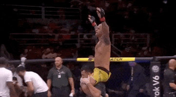 ufc sports sport ufc mma GIF