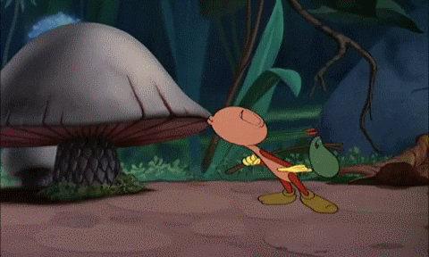 bootle beetle GIF