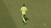 bundesliga werder GIF