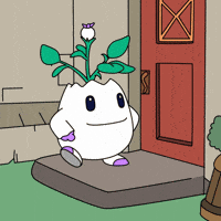 Knock Knock Waiting GIF by Magic Eden