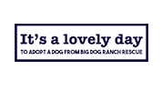 Bdrr Sticker by Big Dog Ranch Rescue