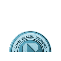 bracol diamond seguranca epi bracol Sticker