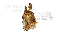 Tequila Cristalino Sticker by AL TUN TUN