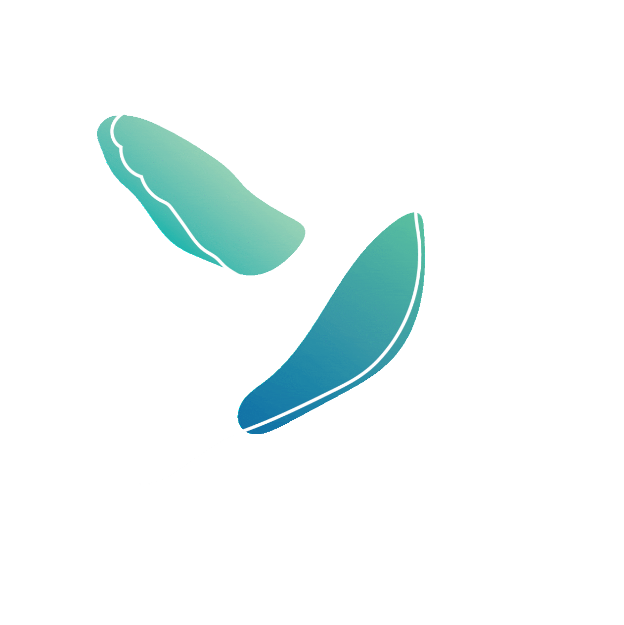 Humming Bird Colibri Sticker by Protek