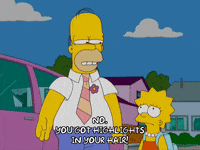 Lisa Simpson Car GIF by The Simpsons