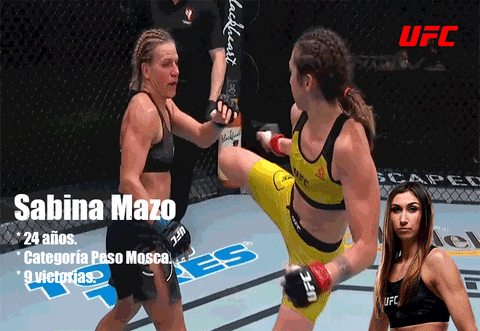 mjaramillo11 giphyupload GIF