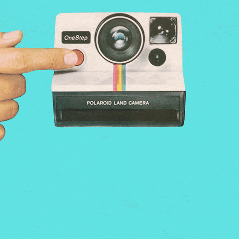 art vintage GIF by TaylorAnneDraws