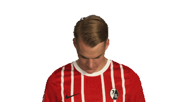 Scf Lienhart Sticker by Bundesliga