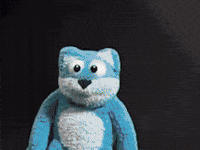 Brazilian Flag Cat GIF by Airlearn