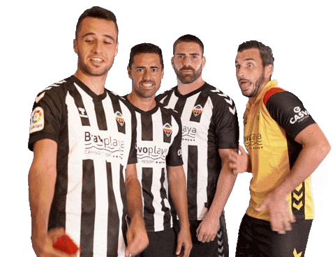 Selfie Cdcs Sticker by CD Castellon
