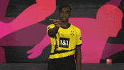 Borussia Dortmund No GIF by Bundesliga