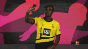 Borussia Dortmund Football GIF by Bundesliga