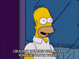 homer simpson what GIF
