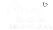 Mira Kandi Sticker by Miyase