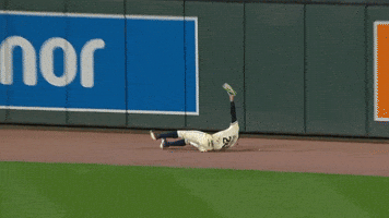 Celebrate Minnesota Twins GIF by MLB