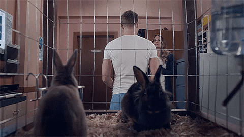 When You Realize Oh No GIF by CBC