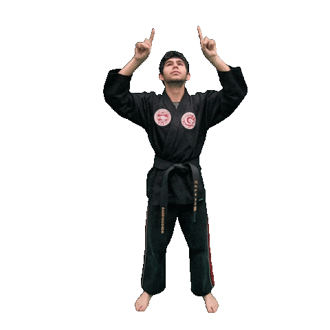 Karate Taekwondo Sticker by Team GMA