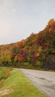 Sun Rises to Colorful Foliage on North Carolina's Blue Ridge Mountains