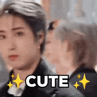 Stray Kids Skz GIF
