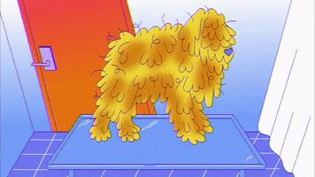 Hairy dog