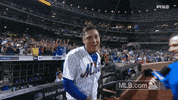 new york mets GIF by MLB