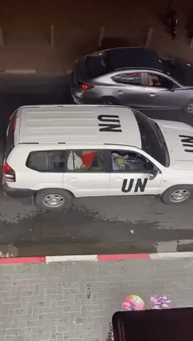 Ferio giphyupload GIF