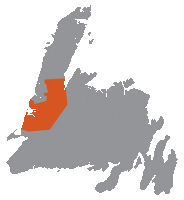 West Coast Sticker by Go Western Newfoundland