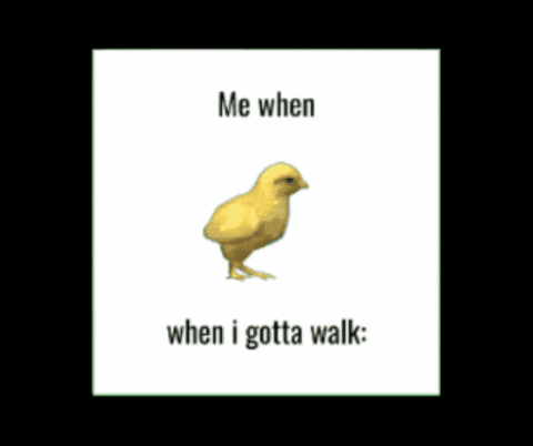 J-nny giphygifmaker meme running bird GIF