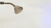 season 1 shower GIF by National Geographic Channel