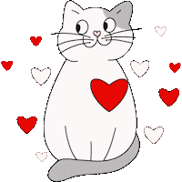 Cat Corazon Sticker