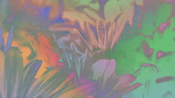 no woman no cry animation GIF by Blossöm Records