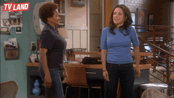 julia louis-dreyfus dancing GIF by TV Land