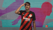 Eintracht Frankfurt GIF by Bundesliga