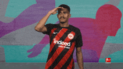 Eintracht Frankfurt Football GIF by Bundesliga