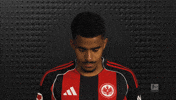 Eintracht Frankfurt GIF by Bundesliga