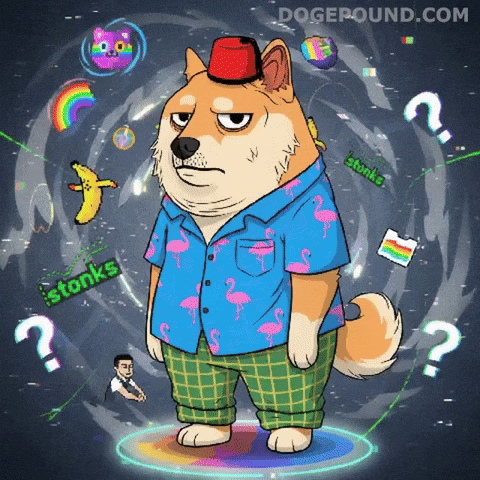 Shiba Inu Wtf GIF by Doge Pound