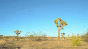 Fun Walk GIF by Bay Ledges