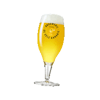 degelekanarie bier biertje dgk de gele kanarie Sticker