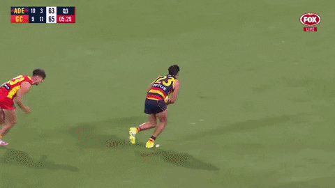 Round 3 Celebration GIF by Adelaide Crows