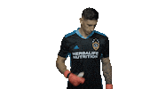 Los Angeles Football Sticker by LA Galaxy