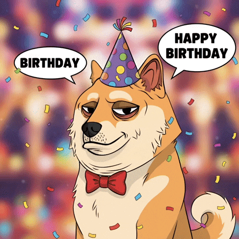 Bored Happy Birthday GIF by Doge Pound