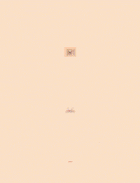 GIF by Tortas_Dolly