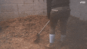 Horse Love GIF by FEI Global