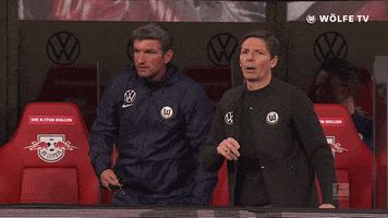 Football Sport GIF by VfL Wolfsburg