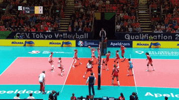 Defense Save GIF by CEV - European Volleyball