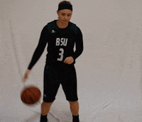 Gartner GIF by Bemidji State Beavers