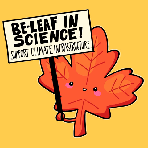 Be-leaf In Science